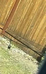 Reliable yard maintenance experts serving Tacoma, WA - Pacific Pros Landscape