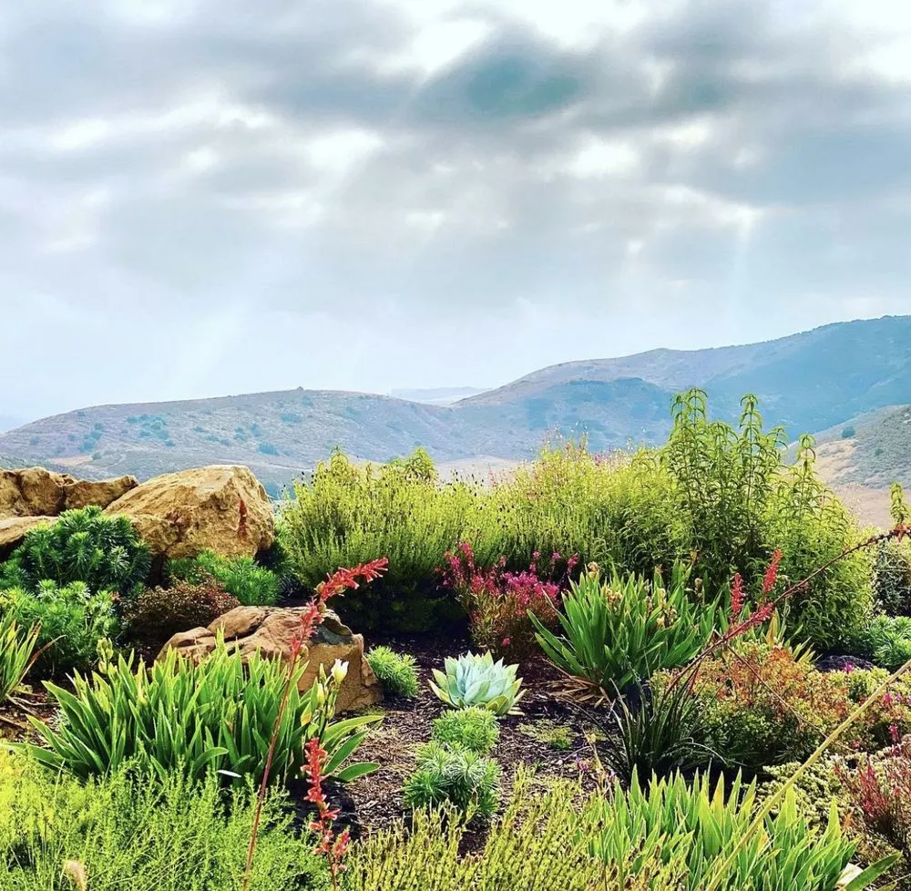 Reliable yard maintenance near you in Camarillo, CA by Pacific Rock