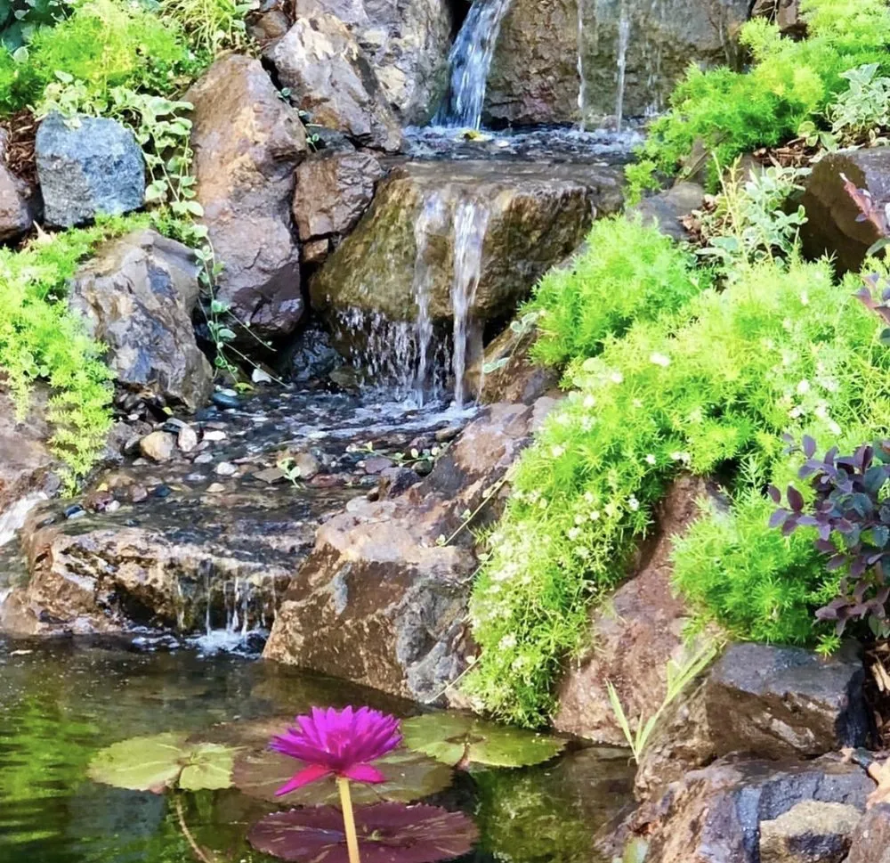 Reliable outdoor landscaping in Camarillo, CA by Pacific Rock