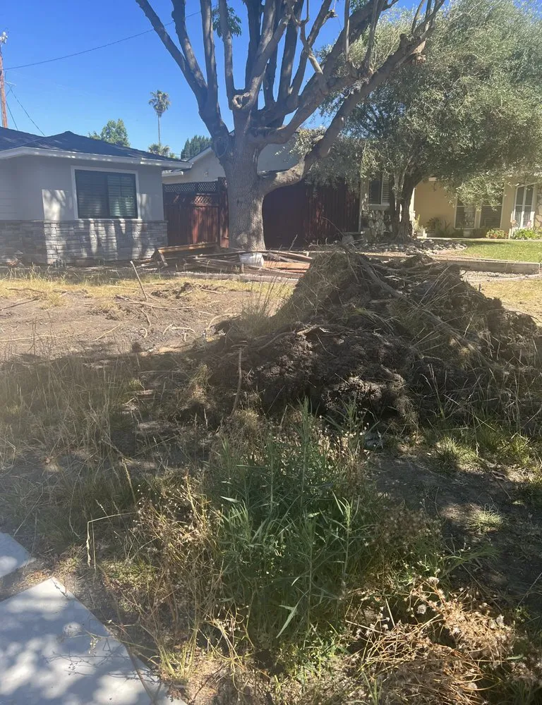 Trusted landscaping services for outdoor upgrades in San Fernando Valley, CA by Pacific Rose