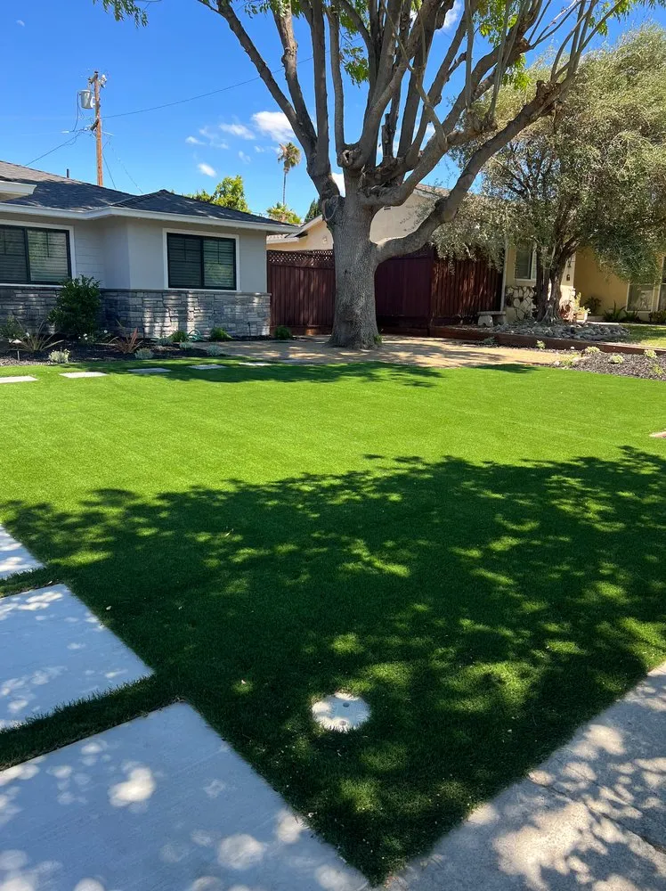 Trusted lawn care service for beautiful yards across San Fernando Valley, CA - Pacific Rose