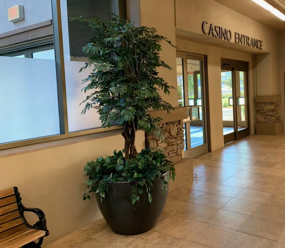 Local landscape design in Rancho Cordova, CA - Pacific Silkscapes