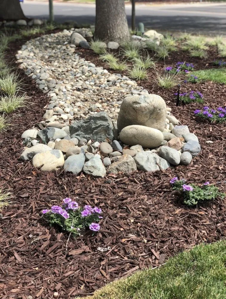 Affordable yard cleanup service for homes in Woodland, CA by Pacific Stone Landscapes