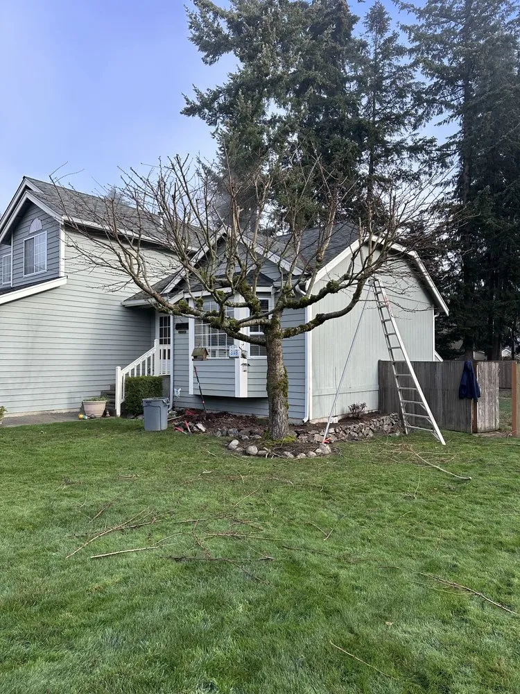 Local landscape installation for outdoor upgrades across Tacoma, WA - Pacific View landscaping and General Contractor