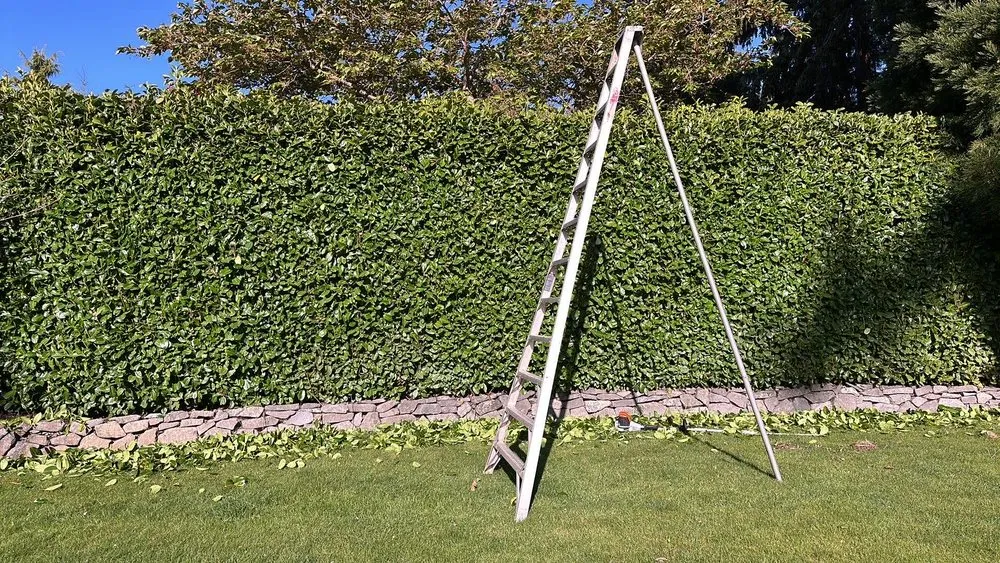 Professional residential landscaping experts serving Tacoma, WA - Pacific View landscaping and General Contractor