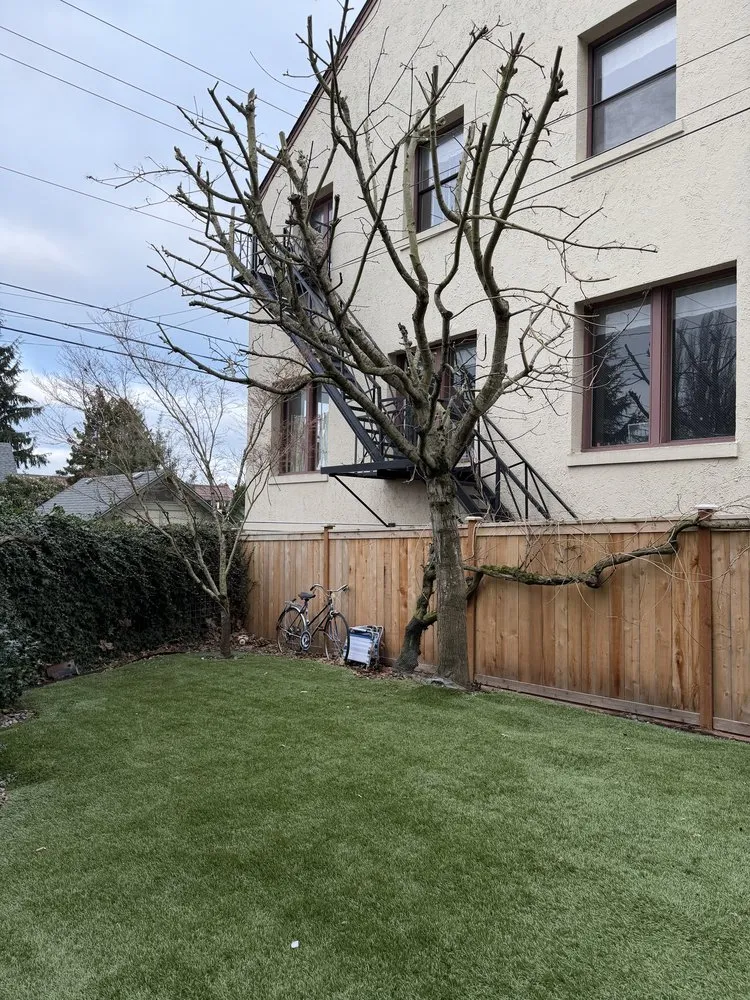 Trusted yard maintenance for residential properties in Tacoma, WA by Pacific View landscaping and General Contractor