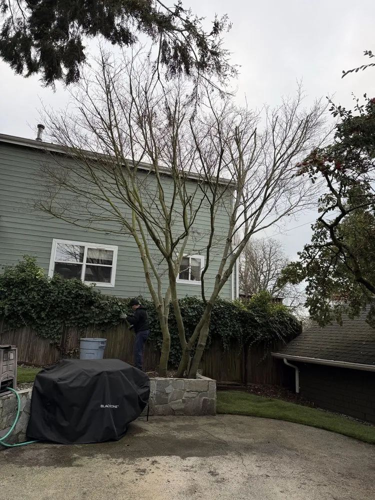 Custom yard maintenance near you across Tacoma, WA - Pacific View landscaping and General Contractor