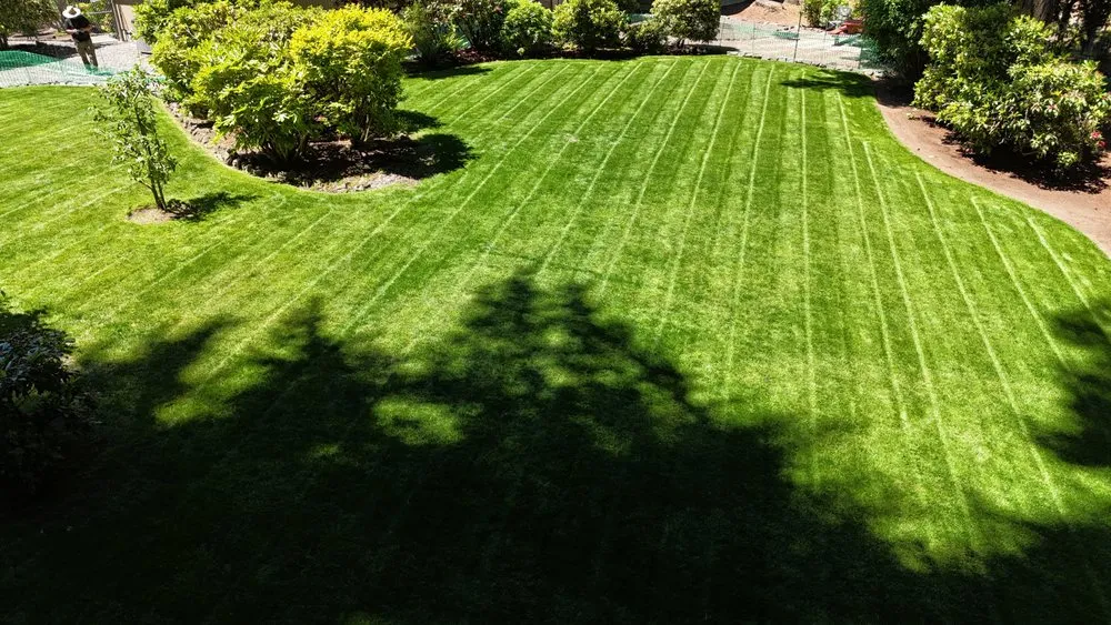 Professional outdoor landscaping in Tacoma, WA - Pacific View landscaping and General Contractor
