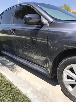 Pacific Vista Landscape Services Logo