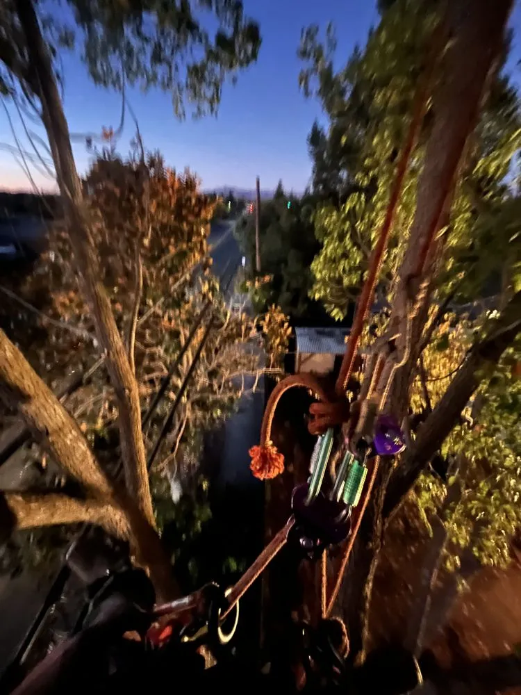 Top-rated landscape installation in Alameda, CA - Pacific West Concrete