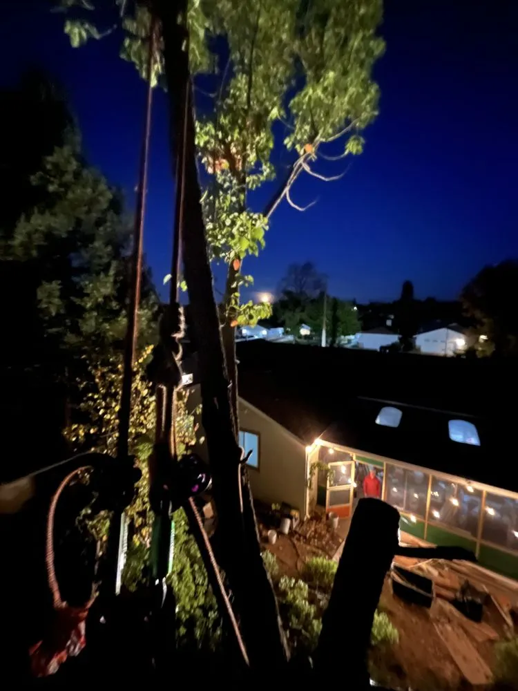 Local outdoor landscaping in Alameda, CA - Pacific West Concrete