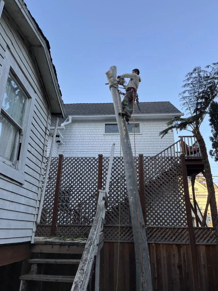 Expert lawn mowing service experts serving Alameda, CA - Pacific West Concrete