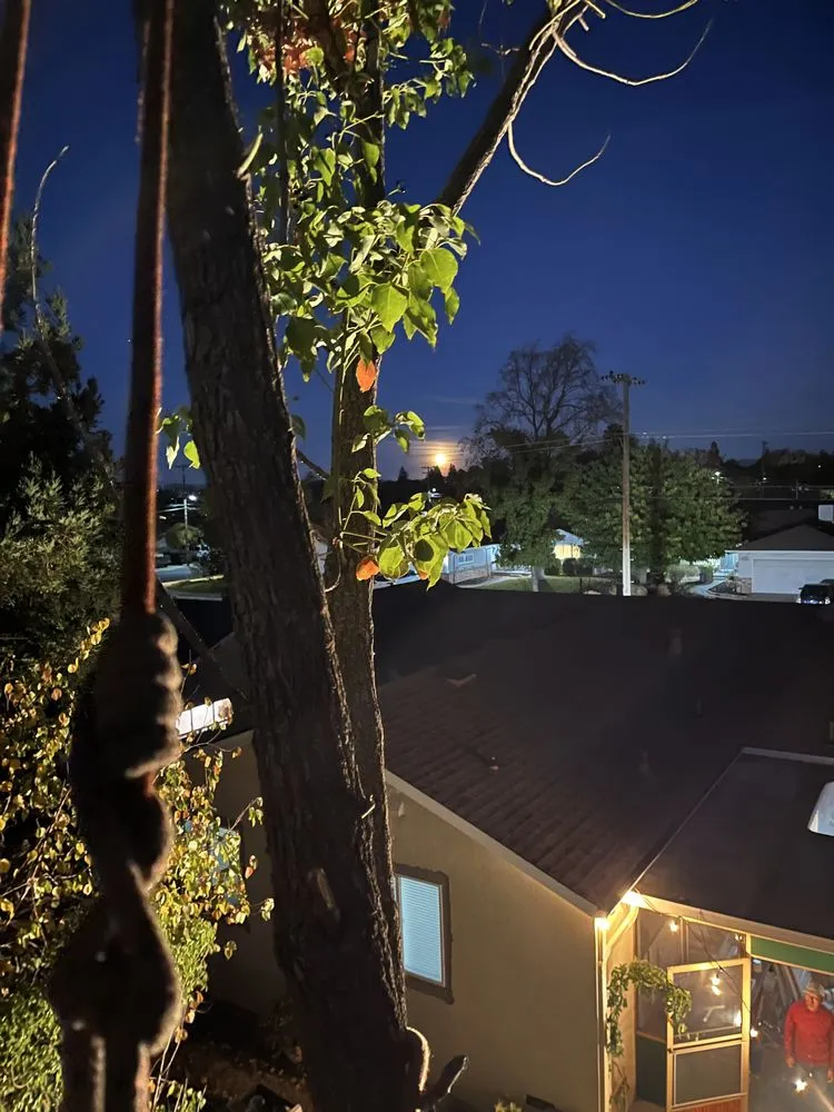 Custom residential landscaping for homes in Alameda, CA by Pacific West Concrete