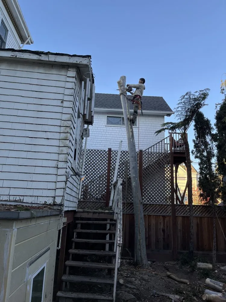 Reliable landscape installation in Alameda, CA - Pacific West Concrete