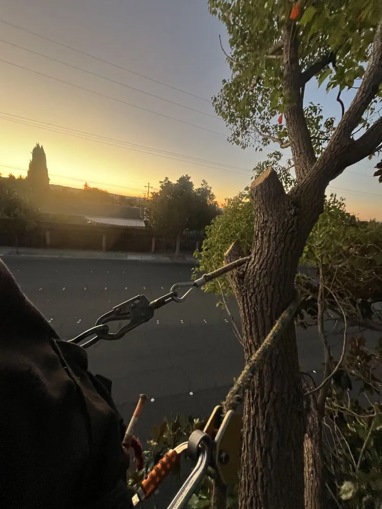 Affordable garden landscaping for residential properties across Alameda, CA - Pacific West Concrete