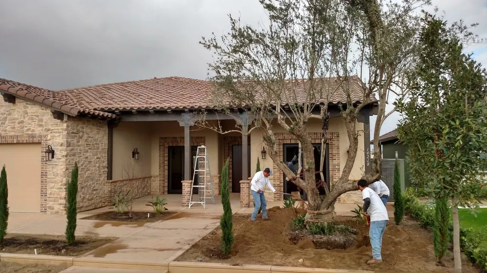 Reliable lawn mowing service for outdoor upgrades in Visalia, CA by Pacific West Tree Company