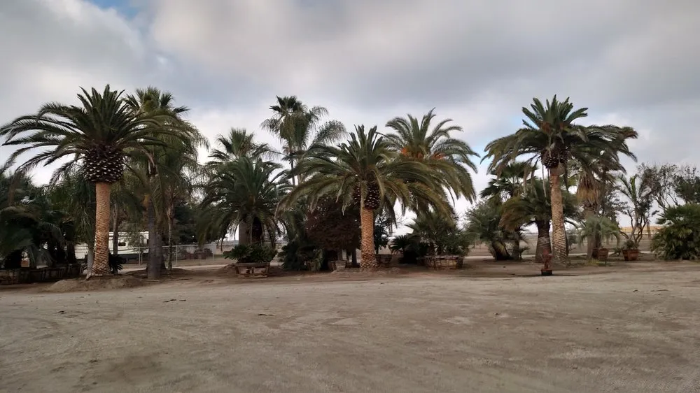 Trusted lawn care service near you across Visalia, CA - Pacific West Tree Company