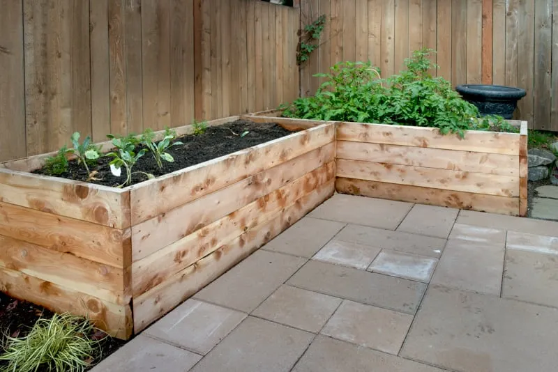 Reliable residential landscaping near you in Seattle, WA by Pacifica Landscapes