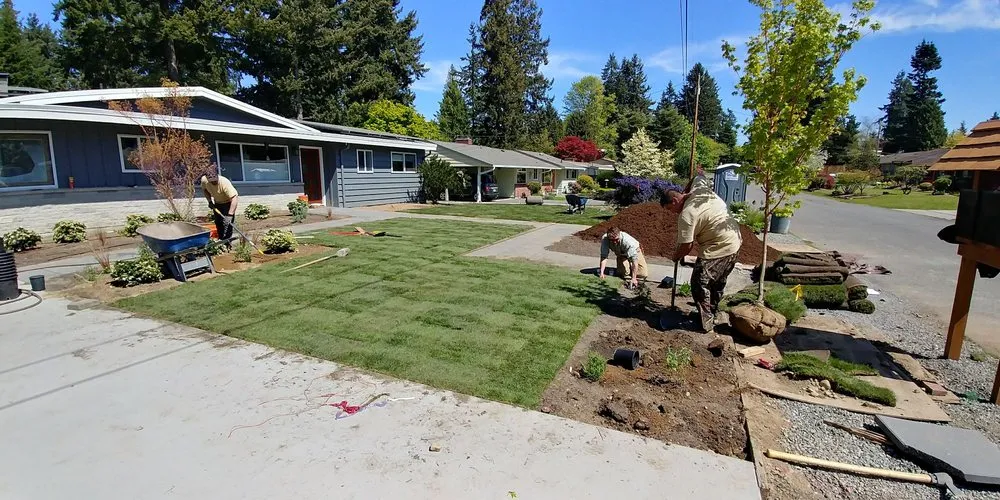 Reliable yard cleanup service for homes across Seattle, WA - Pacifica Landscapes