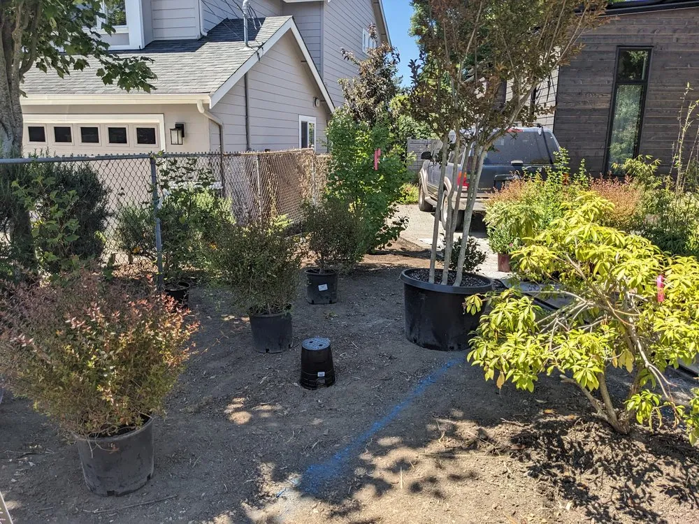 Trusted lawn care service in Seattle, WA - Pacifica Landscapes