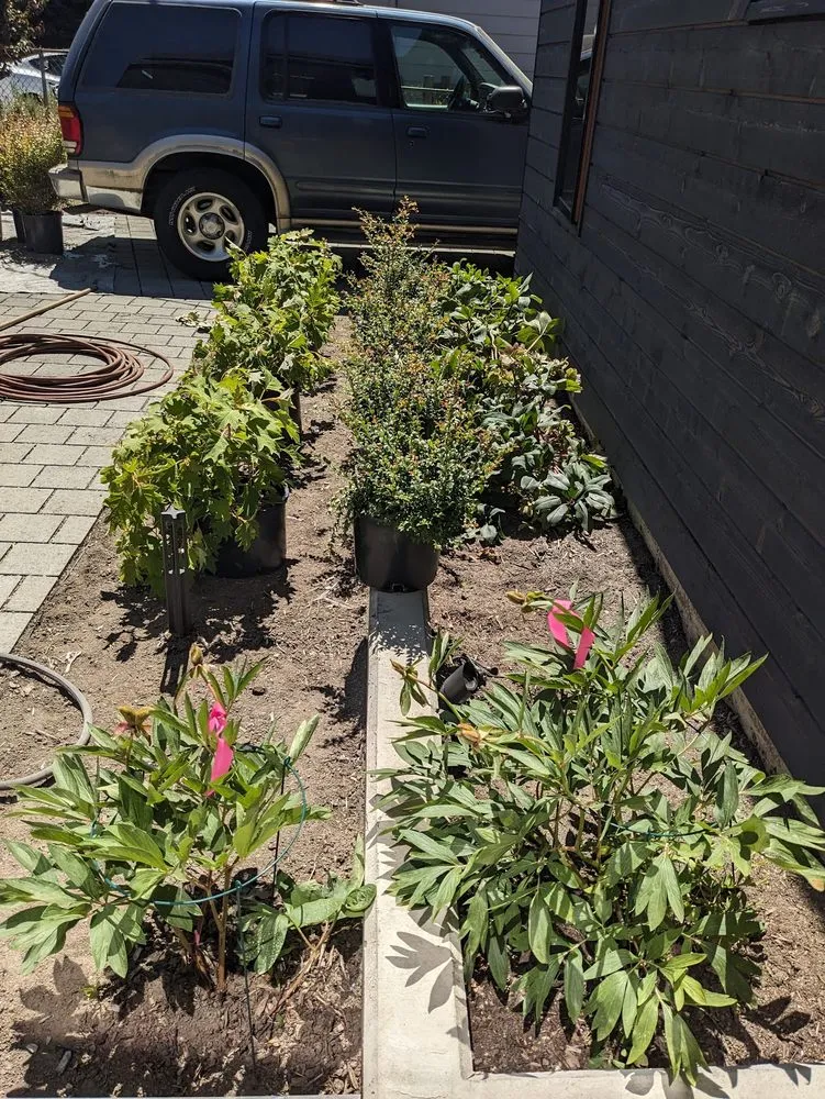 Top-rated residential landscaping with custom design across Seattle, WA - Pacifica Landscapes