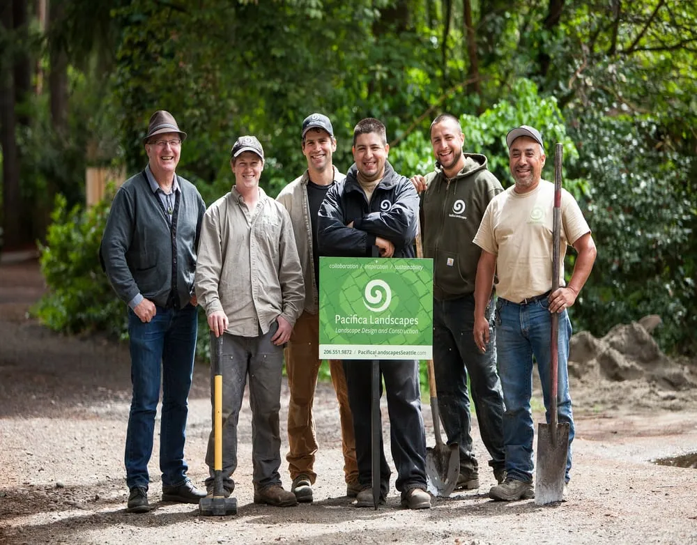 Professional yard cleanup service experts serving Seattle, WA - Pacifica Landscapes