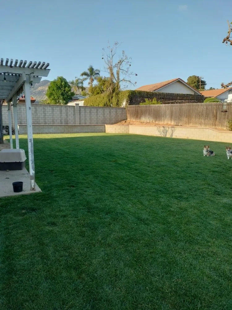 Affordable residential landscaping in Perris, CA by Pacifico Landscape