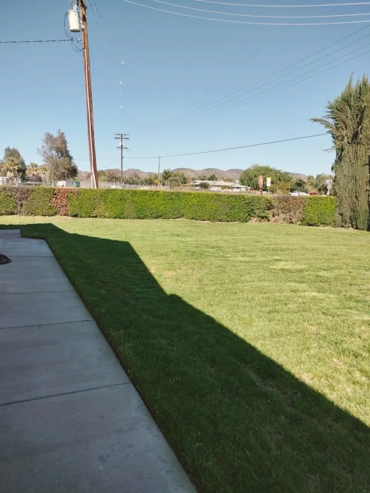 Professional lawn care service experts serving Perris, CA - Pacifico Landscape