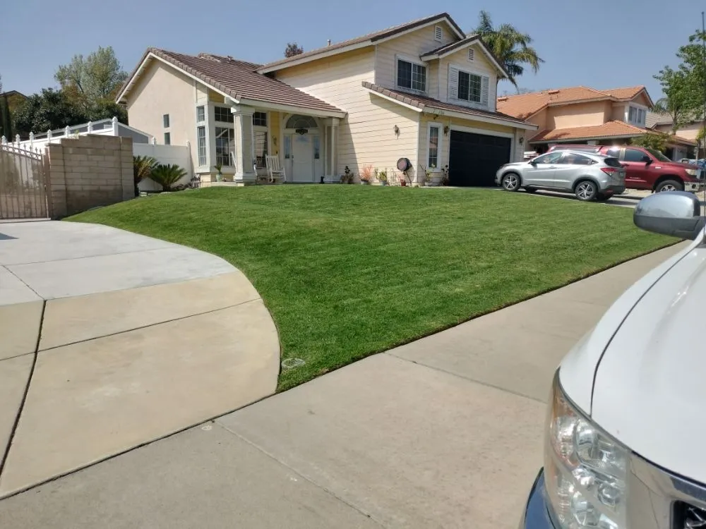 Expert yard maintenance in Perris, CA by Pacifico Landscape