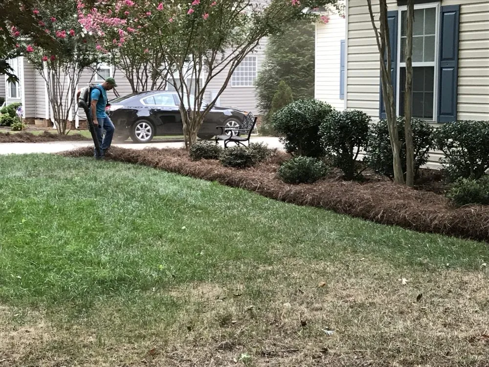 Top-rated yard cleanup service with custom design across Greer, SC - Pack Ridge Lawn Care