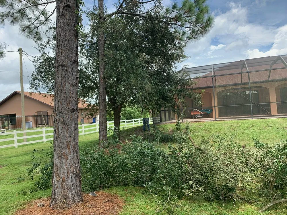 Top-rated yard cleanup service in Lehigh Acres, FL by Package Deal Services