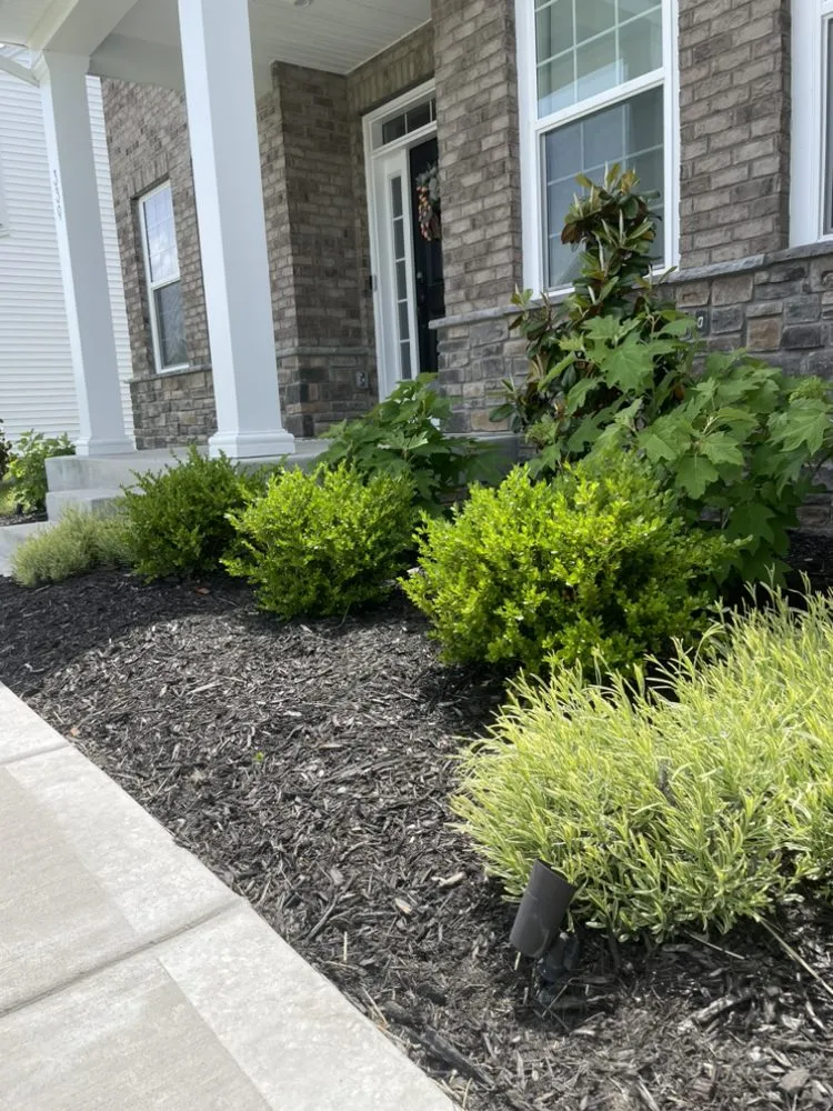 Local lawn mowing service experts serving Flemington, WV - Packard Landscape