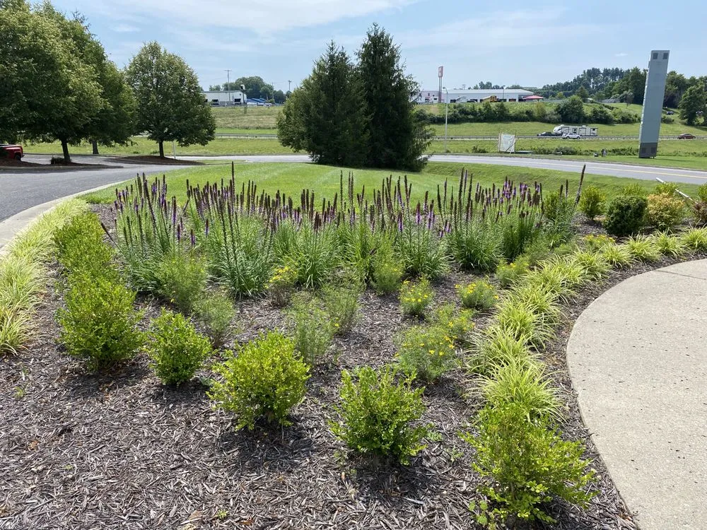 Reliable landscape design near you in Flemington, WV by Packard Landscape