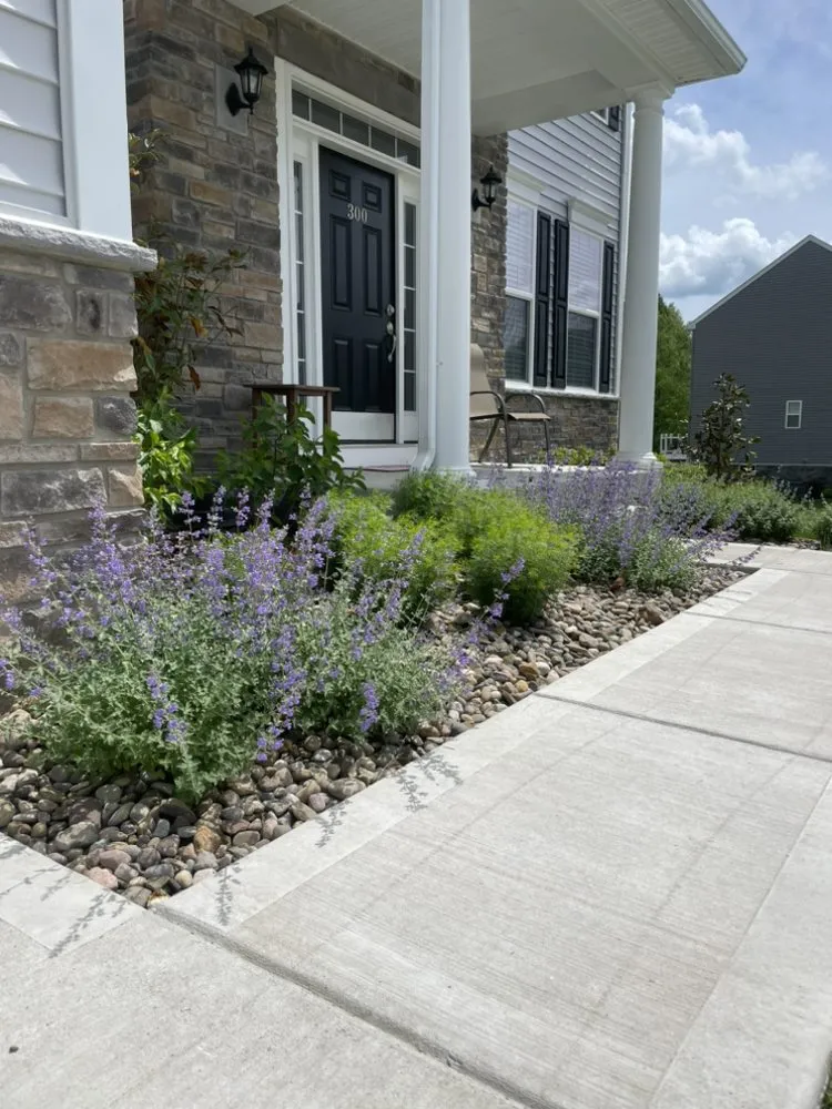 Local yard cleanup service experts serving Flemington, WV - Packard Landscape