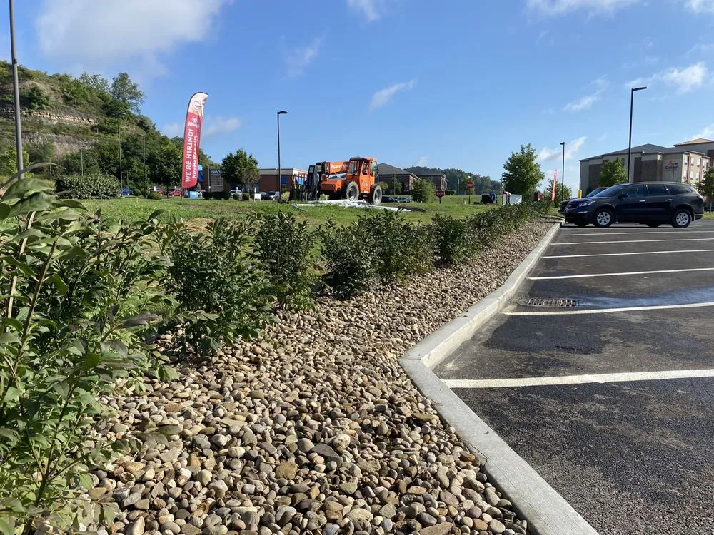 Professional yard cleanup service in Flemington, WV - Packard Landscape