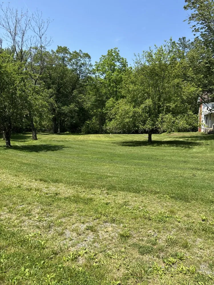 Trusted yard cleanup service for year-round maintenance in Lansford, PA by Packs Lawn Care