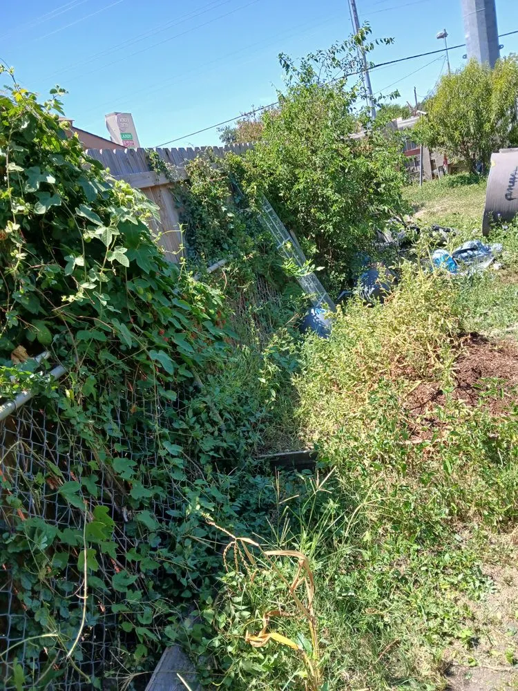 Local yard maintenance for homes in San Antonio, TX by Paco And Anna Lawn Service