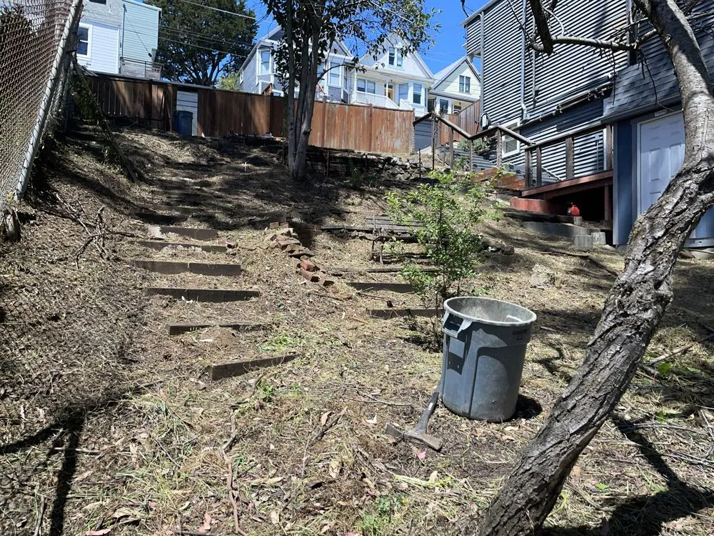 Professional lawn care service in San Francisco, CA by Paco Landscaping