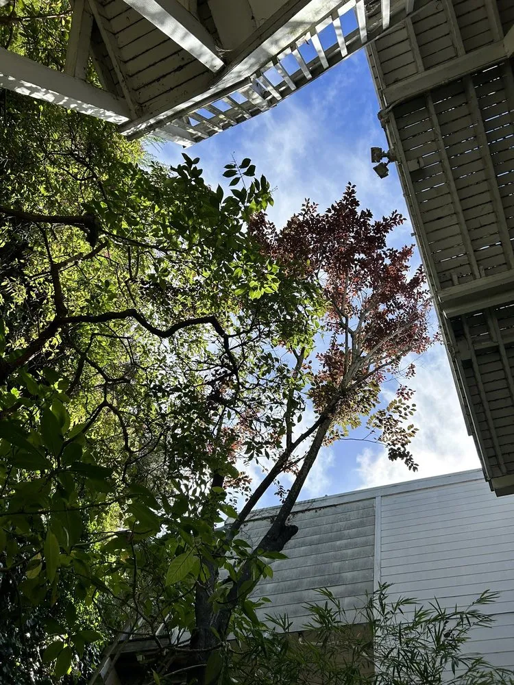 Trusted garden landscaping in San Francisco, CA - Paco Landscaping