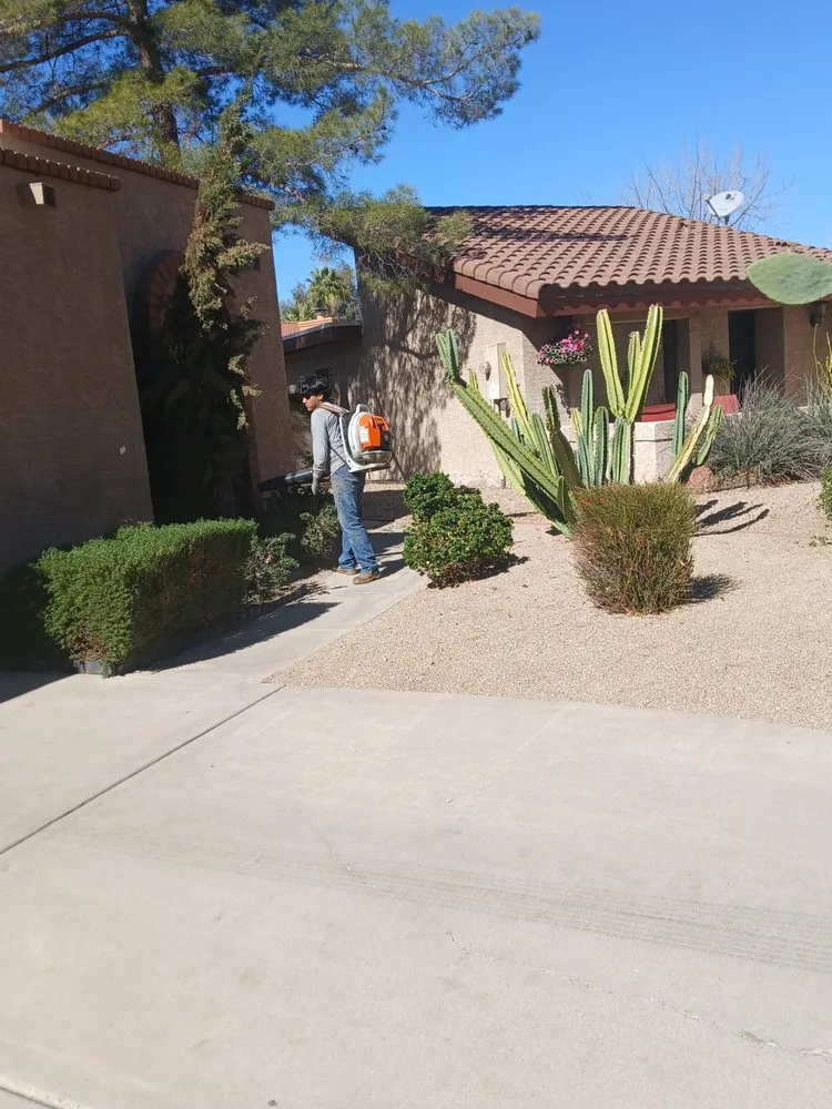 Trusted landscape design in Goodyear, AZ - Paco's Landscaping Services