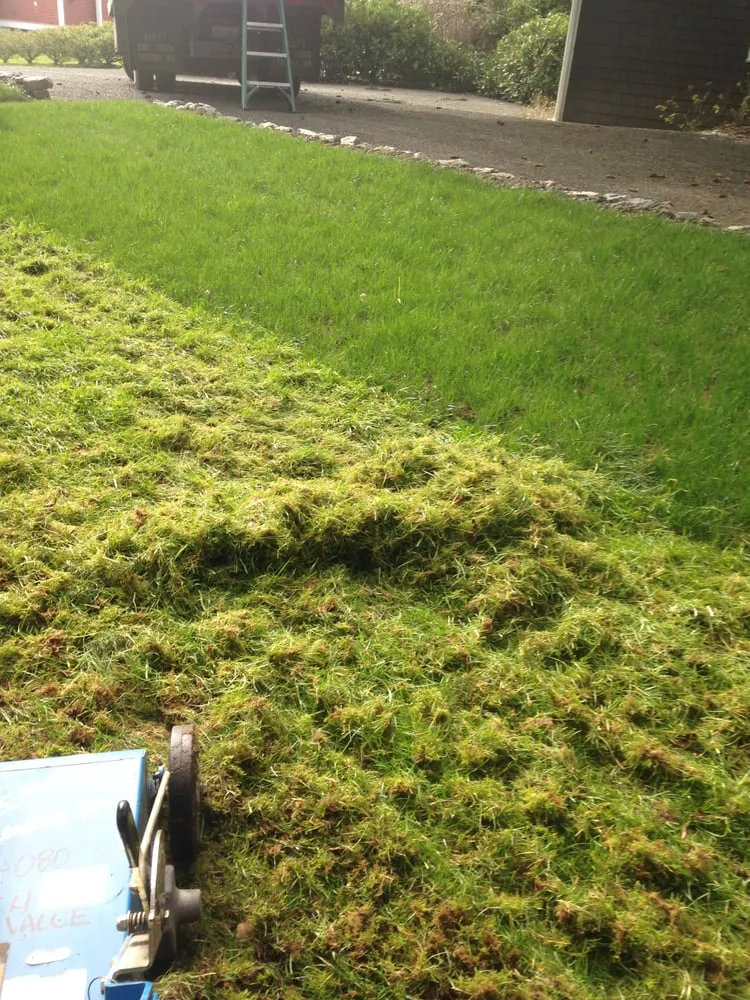 Expert residential landscaping near you in Vashon, WA by Paco's Landscaping