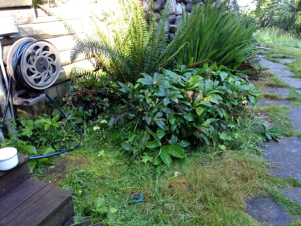 Professional lawn mowing service in Vashon, WA by Paco's Landscaping