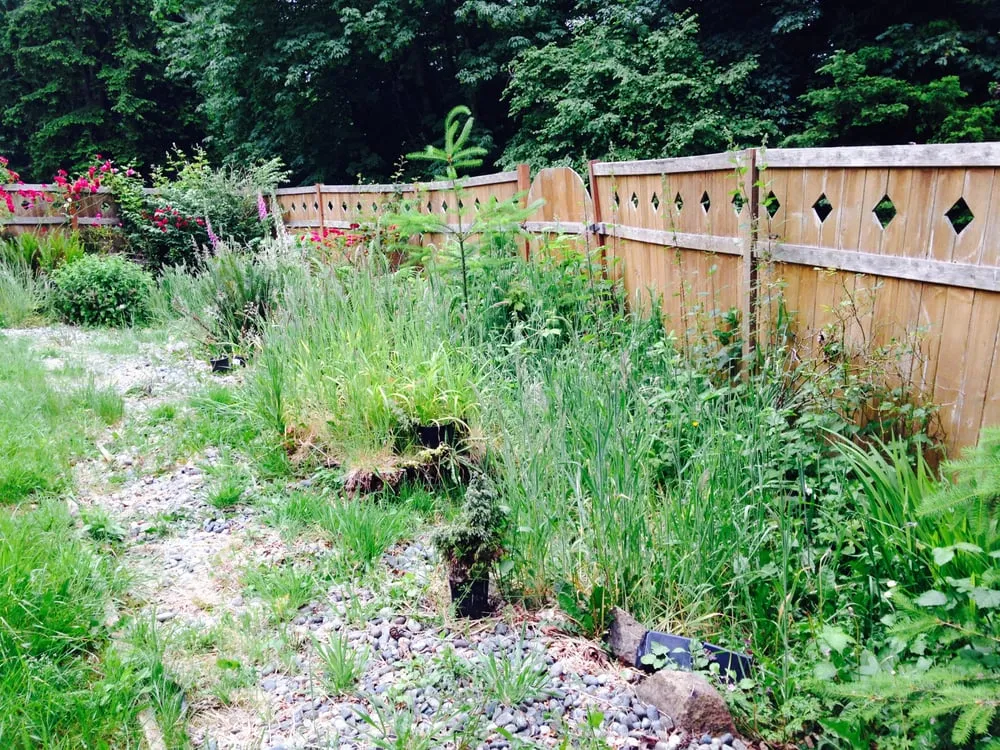 Professional yard maintenance for residential properties across Vashon, WA - Paco's Landscaping