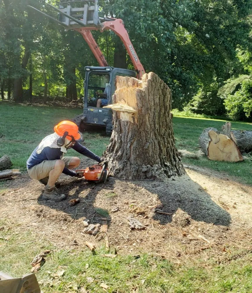 Local garden landscaping in Annapolis, MD - Paco's lawn and landscape services