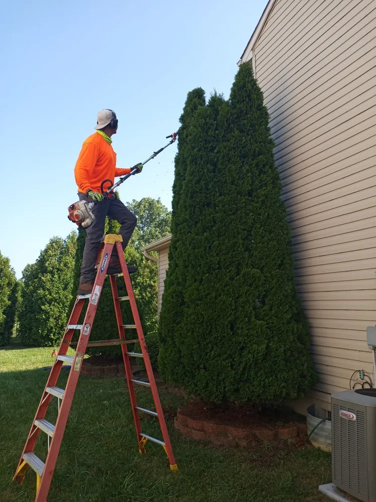 Trusted landscape design for year-round maintenance across Dayton, OH - Pacos Lawn care Service