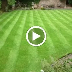 Trusted lawn mowing service in Dayton, OH by Pacos Lawn care Service
