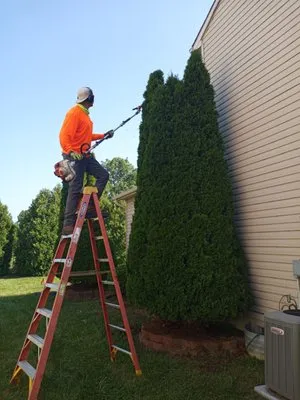 Pacos Lawn care Service Logo