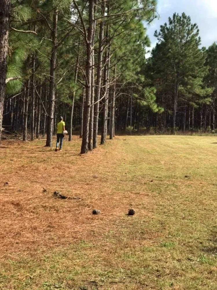 Top-rated landscape design with custom design in Troy, AL by Paco's Lawn Care