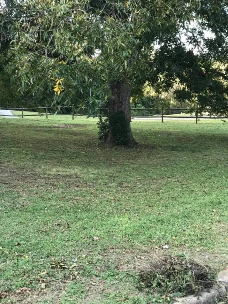 Trusted outdoor landscaping for homes across Troy, AL - Paco's Lawn Care