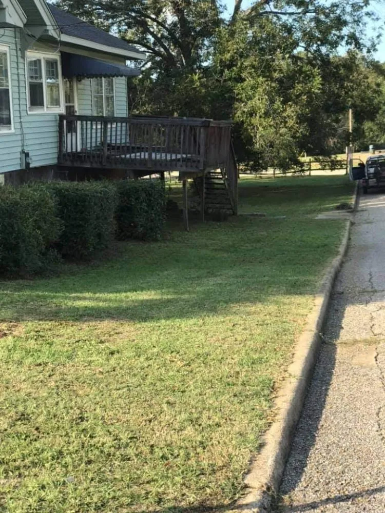 Expert yard cleanup service in Troy, AL - Paco's Lawn Care